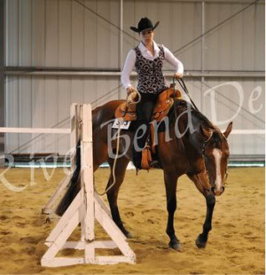 ... Sale- HIGH QUALITY AQHA at the Horse Classifieds forum - Horse Forums