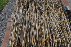 Funny Quotes Contact Dmca...