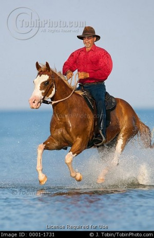 Funny Quotes Contact Dmca