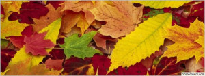 Autumn Leaves Changing Color Facebook Timeline Cover