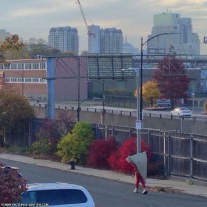 Halloween Walk of shame | Funny Pictures and Quotes