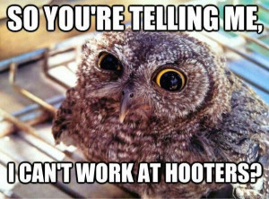 funny owl quotes | Pinned by Tonna Vaughans