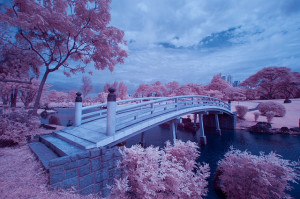 bridge to surrealism