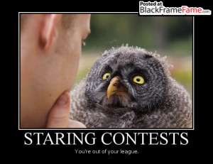 STARING CONTESTS You’re out of your league.