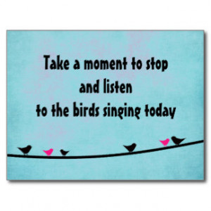 Cute birds singing postcard
