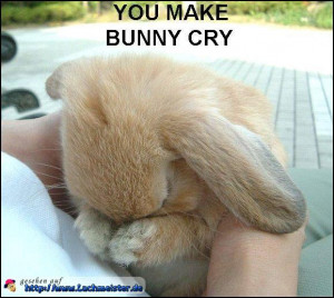 Häschen weint