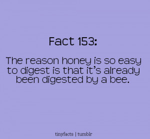 Fact Quote ~ The reason honey is so easy to digest is that it’s ...