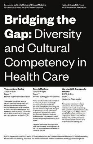 ... Diversity and Cultural Competency in Health Care , February 9th
