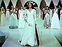 Terry Meeuwsen, Miss America 1973