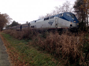 Amtrak Train Raleigh