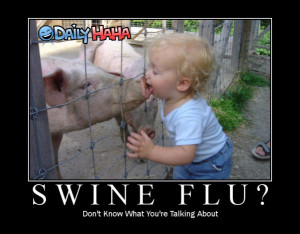 swine flu what swine flu i feel fine
