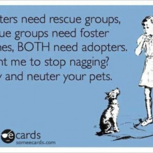 Rescue Dogs need fosters!