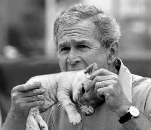 george bush funny pictures image photo picture