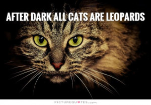 Cat Quotes Dark Quotes Animal Quotes Wild Quotes Proverb Quotes