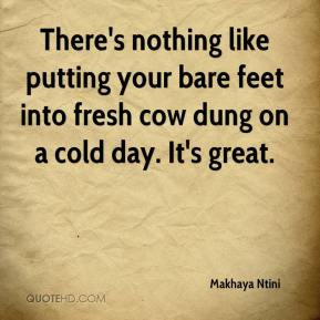 ... putting your bare feet into fresh cow dung on a cold day. It's great