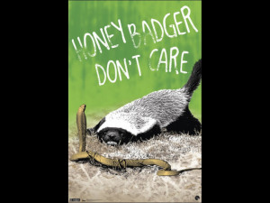 Honey Badger - Don't Care