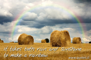 The quote - It takes both rain and sunshine to make a rainbow