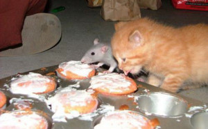 Things You Think Will Make You Happy (But Won't)