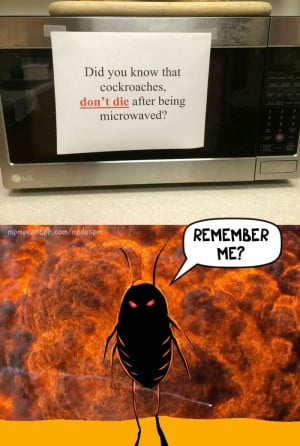 Roach Funny Memes