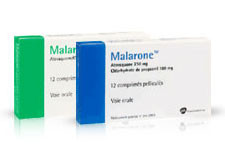 Related image with Leaflet Malaria