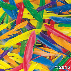 Oz. Giant Bag of Duck Quills