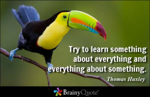 Try to learn something about everything and everything about something ...