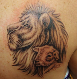 Lion And Lamb Tattoo Wip Vanzanto Deviantart
