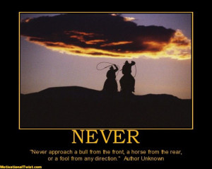 Never approach a bull from the front, a horse from the rear or a fool ...