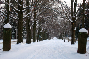 January. 2011. We’ve made it this far. But we’re not out of the ...