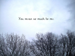 You Mean To Me So Much Quotes. QuotesGram
