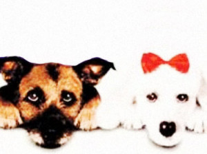 Look Who Talking Too Online