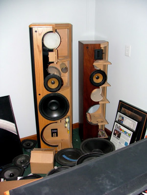 think these might be a pair of first generation Focus speakers ...