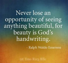 ... beautiful, for beauty is God's handwriting.