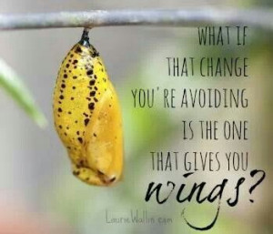 Motivational Quote A Metamorphosis Photo