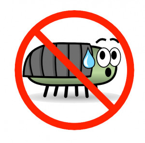 How to Fix Software Bugs « The Computer Advisor