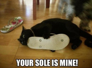 your-sole-is-mine-cat-meme