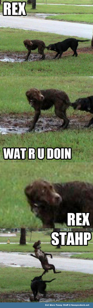 Funny Cheating Boyfriend Quotes Funny quotes about boyfriends