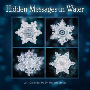 Hidden Messages in Water Calendar