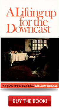 a lifting up for the downcast a lifting up for the downcast