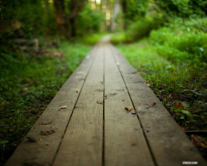 والپیپر منظره ۳۹