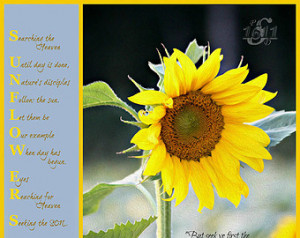 Popular items for sunflower quotes