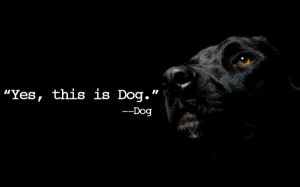 Yes this is Dog. – Dog Inspirational Quote