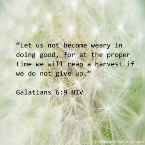 ... time we will reap a harvest if we do not give up.” - Galatians 6:9