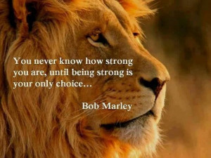 Amazing that this quote is from Bob Marley since it was one of Dons ...