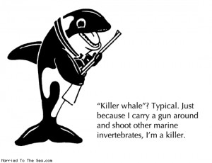 ... -killer-whales-captivity-your-thoughts-killer-whale.gif