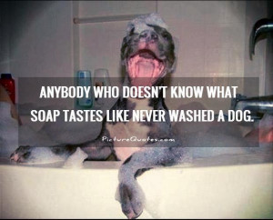 ... doesn't know what soap tastes like never washed a dog Picture Quote #1