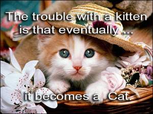 The trouble with a kitten is that eventually ... it becomes a cat.