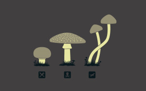 Drugs Mushrooms Wallpaper 1920x1200 Drugs, Mushrooms, Fun, Art