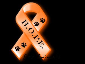 Orange Ribbon For Animals http://www.pawsnclawsfw.com/petcarepartners ...