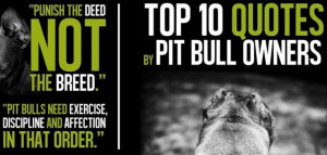 Top 10 Quotes by Pit Bull Owners Graphic